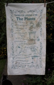 Thank you for watering the plants: Date Unknown, acquired 2017. To read the story www.myteatowels.wordpress.com/2017/10/06/tha