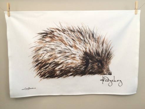 Hedgehog: On ‘loan’ from Clare Baird. See In Conversation With...